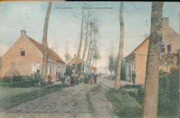 SINT LAUREINS   GOUVERNEMENTSTRAAT - Sint-Laureins