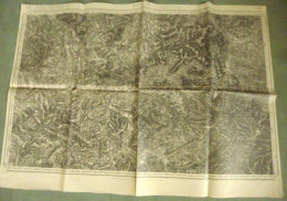 Carte Du S.G.A. : EPINAL - 1/80 000ème - 1838/96. - Topographical Maps
