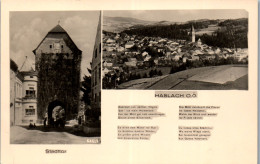 60072 - Oberösterreich - Haslach , An Der Mühl , Stadttor , Panorama - Gelaufen 1962 - Rohrbach