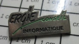 421 Pin's Pins / Beau Et Rare / INFORMATIQUE / ERGIE CONSEIL - Computers