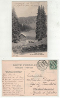Canton De Vaud  //  Lac Des Chavannes - Ormont-Dessous