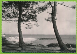 Delcampe - BEG-MEIL - Un Coin De La Grève Du Sémaphore Vu à Travers Les Pins - Beg Meil