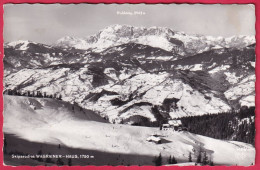 AK: Echtfoto - Skiparadies Wagrain - Haus, Gelaufen Ohne Marke (Nr. 2784) - Wagrain