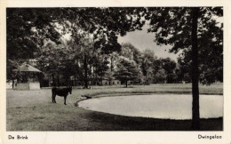 Dwingeloo De Brink VN2664 - Dwingeloo