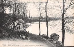 22-MORIEUX L ETANG DES PONTS NEUFS-N°T1111-G/0231 - Morieux