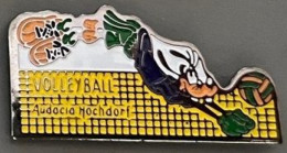 VOLLEYBALL CLUB AUDACIA HOCHDORF - DINGO - WALT DISNEY - FILET - BALLON - VOLLEY-BALL - (32) - Volleybal