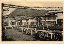 [-5%] BELGIQUE - Westende - Vacantiecentrum "Zon En Zee" - Pergola - Edit Arduenna - Carte Postale Ancienne - Westende