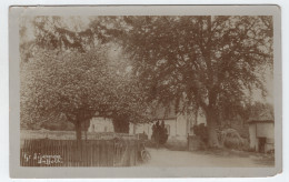 LIVERMERE SUFFOLK POST CARD PHOTO - Ipswich