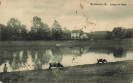 [-5%] BELGIQUE - Mechelen A M - Langs De Maas - Pâturage - Bœuf - Etang - Campagne - Bâtiment - Animé - Carte Postale An - Maasmechelen