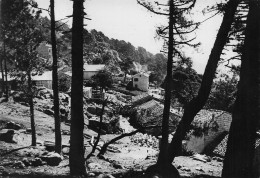 [-5%] FRANCE - Ospedale - Vue Des Sapins - Forêt - Village - Maison - Toiture - Edit La Cigogne - Oblit 1961 - Carte Pos - Sartene