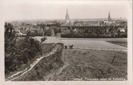 4951 30 Sittard, Panorama Vanaf De Kolleberg. (Kleine Vouwen In De Hoeken, Doordruk Stempel)  - Sittard