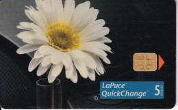 TARJETA DE CANADA DE UN COCHE WOLKSWAGEN  DE TIRADA 76800 (BELL) CAR-FLOR-FLOWER - Flowers