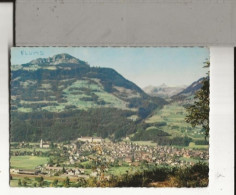 FLUMS VUE GENERALE - Flums