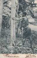 Cartolina - Postcard /   Viaggiata /   East Africa - Prizino Off The Bark - Uganda