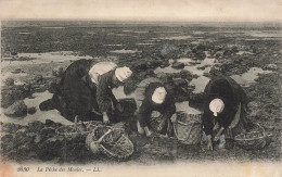 [-5%] METIERS - La Pêche Des Moules - L L - Animé - Femme - Carte Postale Ancienne - Fischerei