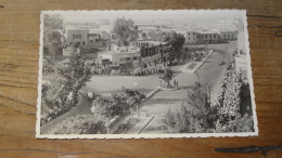 Carte Photo ASMARA  Competizione Automobilistica ..............  1200-598 - Eritrea
