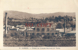 RARE CPA LORIOL USINES DU CANARD SAUVAGE ET VIFRA - Loriol