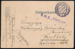 1917 Tábori Posta Levelezőlap "S.M.S. TRIGLAW" + "MF / POLA" - Other & Unclassified