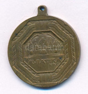 1917. "Az AVIATIKÁÉRT" Bronz Emlékérem Füllel, Melyet Az 1917-es Hadirepülőgép Kiállításon árultak A Magyar Aviatika Any - Unclassified