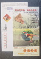 Catbayornis Yandica Bird Fossil,CN08 Chaoyang Treasure-House Of Fossil On Earth Advertising Pre-stamped Card - Fossils