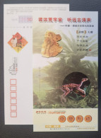 Protarchaeopteryx Robusta Dinosaur Fossil,CN08 Chaoyang Treasure-House Of Fossil On Earth Pre-stamped Card - Fossils