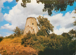 Netherlands Sas Van Gent Molenberg - Sas Van Gent