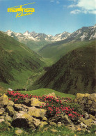 SUISSE - Klosters - Madrisa Schlappin - Wanderweg - Schlappinerjoch - Randonné - Paysage - Carte Postale - Klosters
