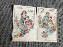 2 Chromos DUROYON & RAMETTE  Chicorée  à La Ménagère  FEMME & ENFANT  ROSES & OISEAUX  Cambrai  (1) - Duroyon & Ramette