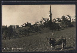 AK Rehetobel, Weidende Rinder Vor Der Ortschaft  - Rehetobel