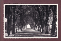AUBONNE - Avenue Du Chêne - 1960 - Aubonne