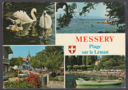 131420/ MESSERY, Plage Sur Le Léman - Messery