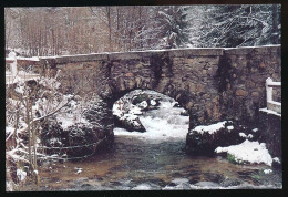 CPSM / CPM 10.5 X 15 Vosges La Meurthe Au Rudlin PLAINFAING  Visitez La Confiserie Des Hautes Vosges à Habeaurupt - Plainfaing