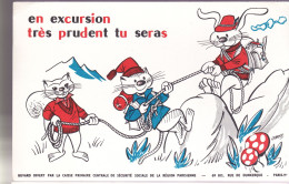 BUVARDS - CAISSE PRIMAIRE CENTRALE - EXCURSION - C
