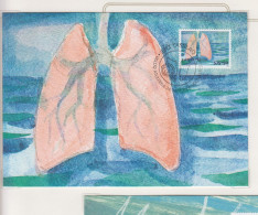 Groenland Maxi-kaart Met FDC Stempel Michel-nr. 511 - Cartes-Maximum (CM)