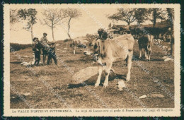 Como Alpi Di Lanzo Cartolina QK9320 - Como