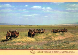 1 AK Mongolei / Mongolia * Greetings From Mongolia - Kamele In The Desert * - Mongolia