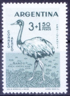 Argentina 1960 MNH, Greater Rhea, Birds - Autruches
