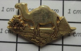 AB2023 Pin's Pins / Beau Et Rare / ARTHUS BERTRAND / CAMEL CHAMEAU DESERT PYRAMIDE PALMIERS - Arthus Bertrand