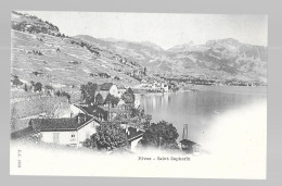 Rivaz, Saint Saphorin (6238) - Rivaz