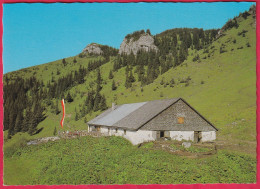 AK: Tannheim USSER-ALPE, Ungelaufen Beschrieben 20. 8. 1981 (Nr. 2894) - Tannheim