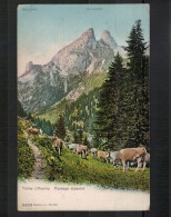 Vintage Postcard - TANEY S/ VOUVRY - Paysage Alpestre - Vouvry