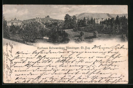 AK Menzingen, Ortsansicht Mit Dem Hotel Schwandegg  - Menzingen