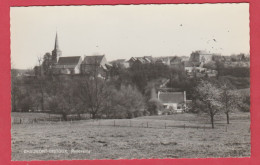 Chaumont-Gistoux - Panorama ... De La Commune ( Voir Verso ) - Chaumont-Gistoux