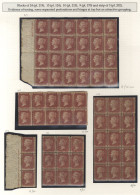 AIRGRAPH MAIL 1940-45 Fantastic Collection/accumulation In A Box, Incl. 80 Airgraphs From Various Overseas Postings, Ree - Other & Unclassified
