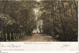 2769	171	Winschoten, Gezicht Tusschen De Bosschen (poststempel 1904)(zie Hoeken) - Winschoten