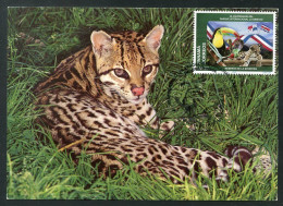 Delcampe - PANAMA (2024) Carte Maximum Card - 40 Aniversario Parque Internacional La Amistad, Ocelote, Ocelot Leopardo Pardalis WWF - Panama