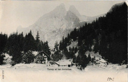 Lac De Tanay 1902, Vouvry - Vouvry
