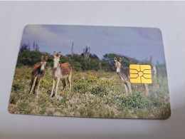 BONAIRE  CHIPCARD / Naf 5,00 20 Units Donkey  **19944 ** - Antillas (Nerlandesas)