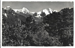 Suisse - Interlaken -  Eiger , Monch U Jungfrau  Von Der Heimwehfluh Aus - Iseltwald