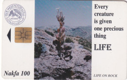 ERITREA - Cactus, Tirage 30000, Used - Eritrea